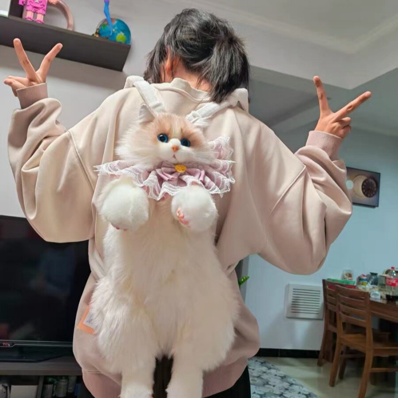 2026 New In Stock Ragdoll Cat  - огляд і ціна Travel Accessories Ideas