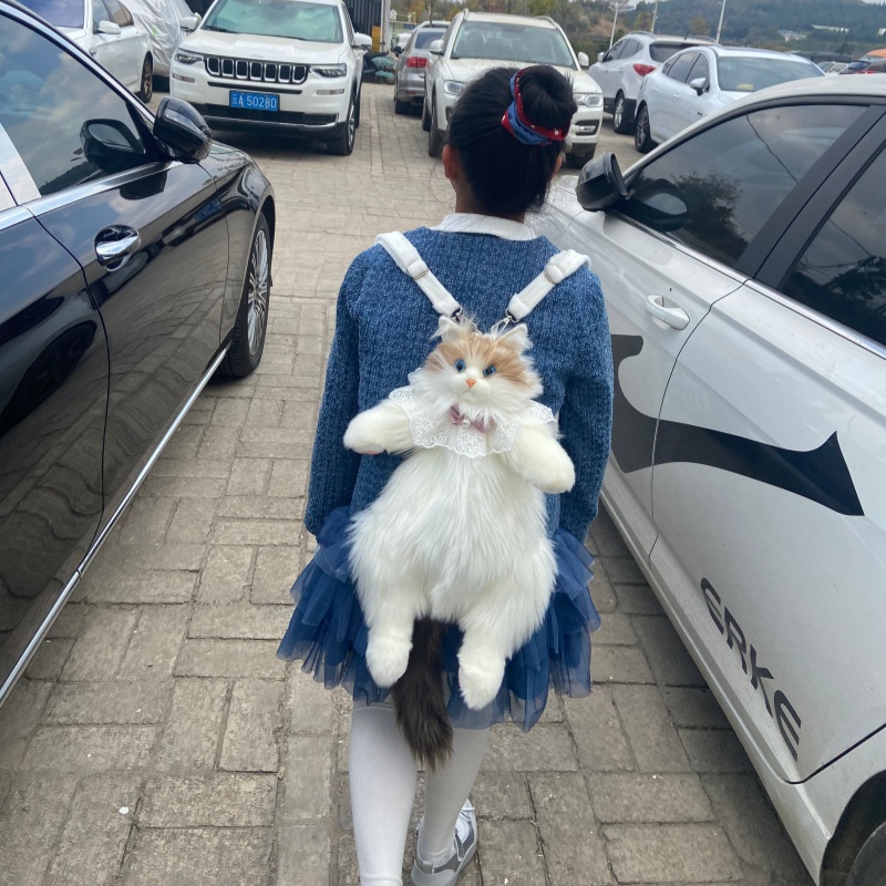 2026 New In Stock Ragdoll Cat  - огляд і ціна Travel Accessories Ideas